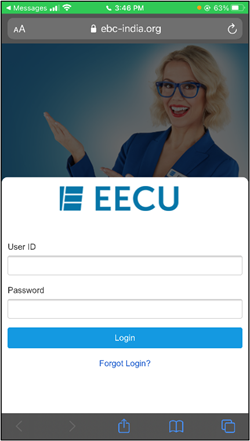 Fake Login