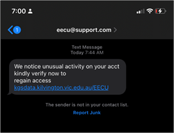 Fake Text Message